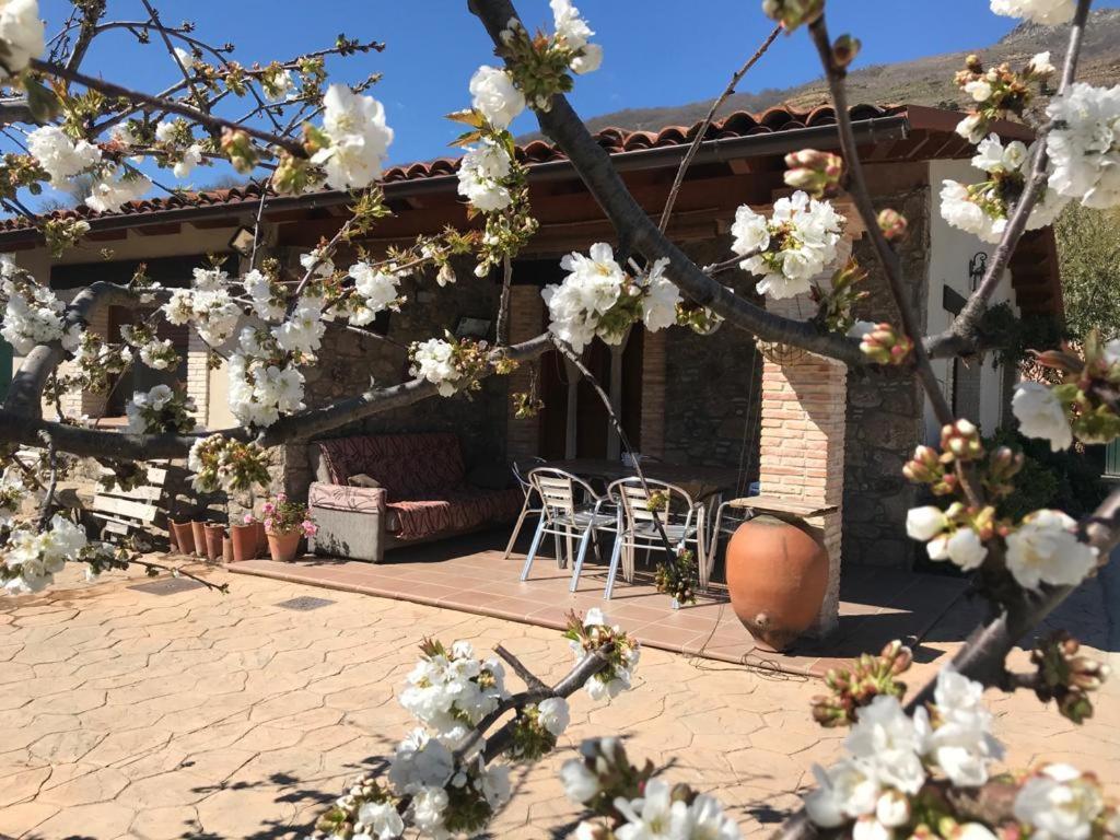 Casa Rural La Picotina Navaconcejo Esterno foto