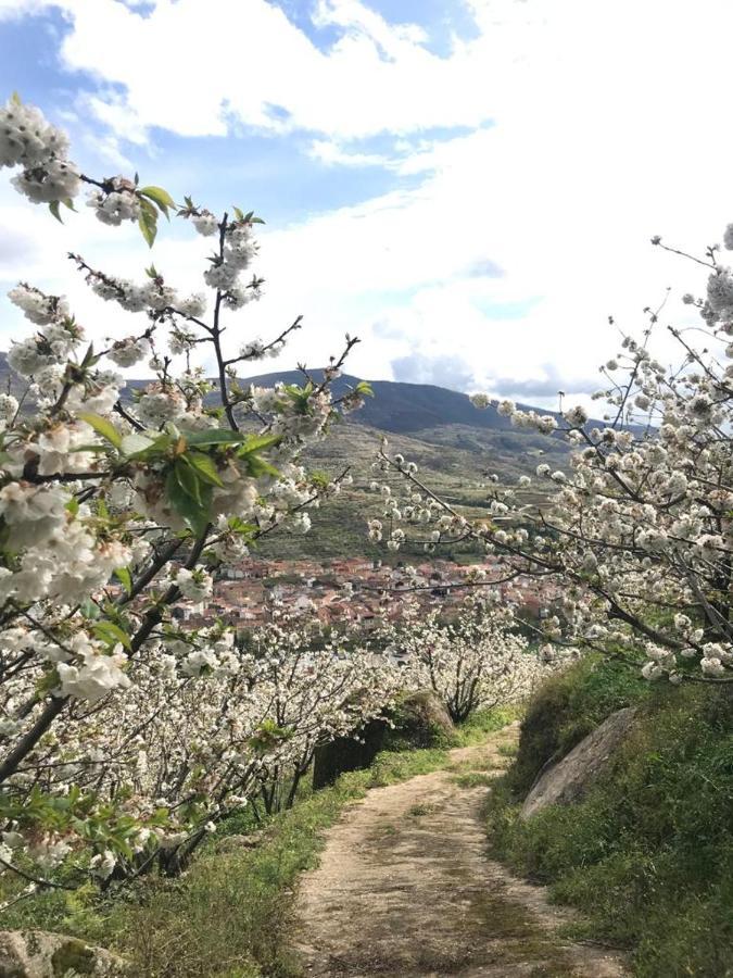 Casa Rural La Picotina Navaconcejo Esterno foto