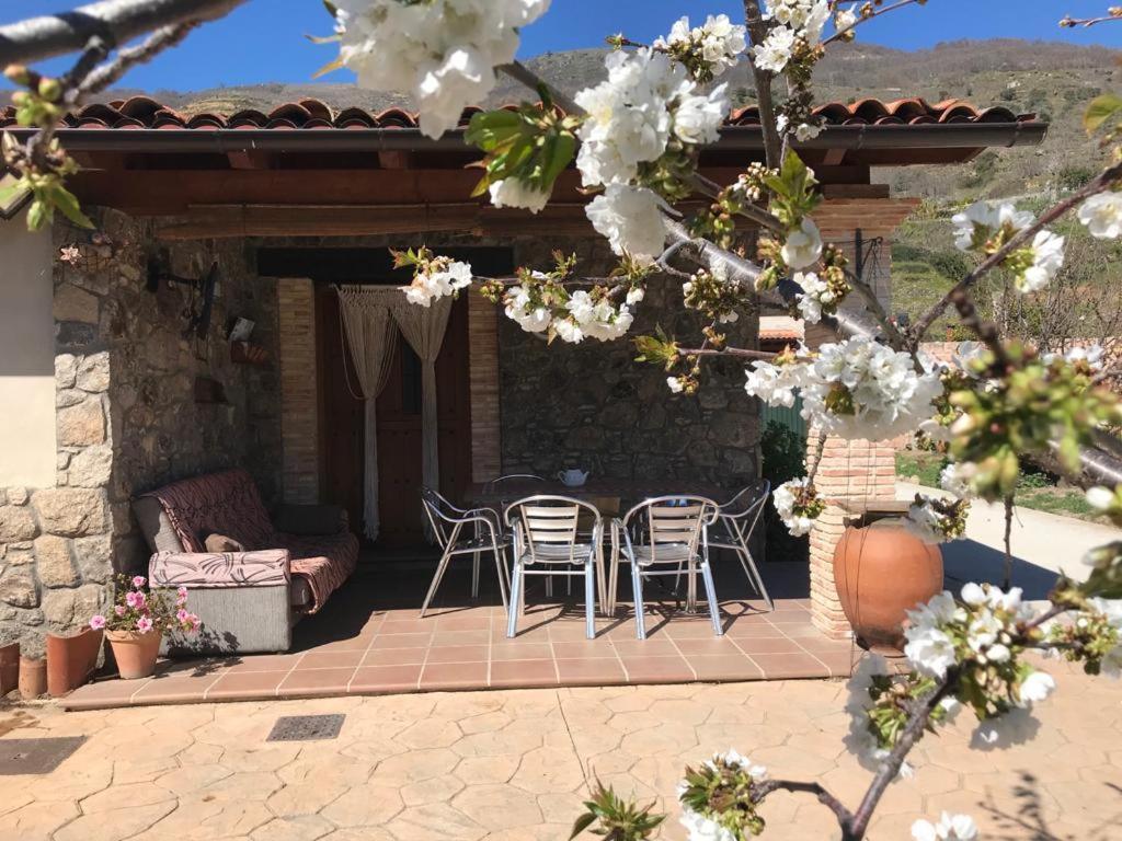 Casa Rural La Picotina Navaconcejo Esterno foto