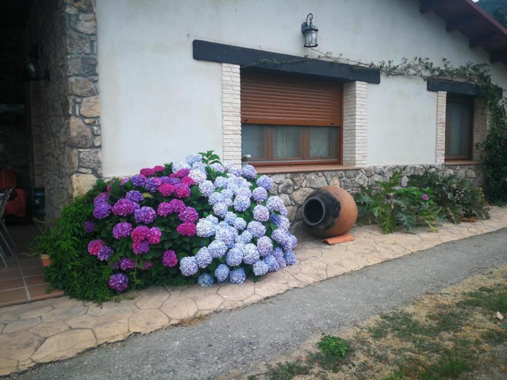 Casa Rural La Picotina Navaconcejo Esterno foto